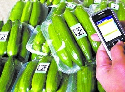 探索“掃碼觀菜、冷鏈出菜”新模式 讓農產品更安全直達餐桌