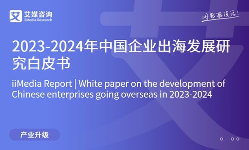2023年中國互聯網家居售后服務市場研究報告 信息技術咨詢服務的角色與前景